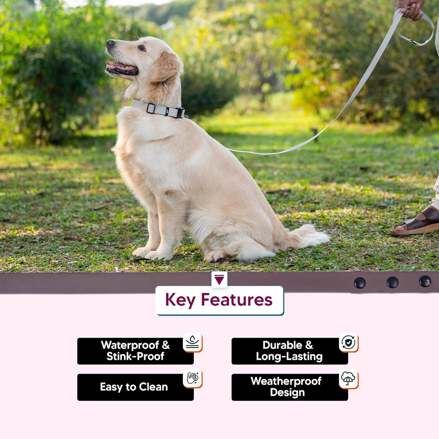 Adil’s Biothane Dog Leash - Waterproof Leashes for Dogs, Metal Hook, Adjustable 5ft Length Suitable for Dogs & Puppies, Ideal for Walking, Running & Training